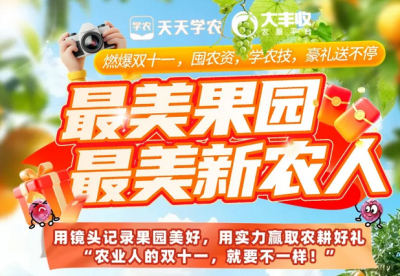 丰农控股2025年 &ldquo;最美果园&rdquo;&ldquo;最美新农人&rdquo; 评选活动启动，助力农业风采展示