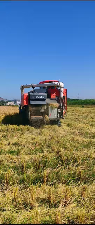 惠州基地，无人拖拉机收水稻了。