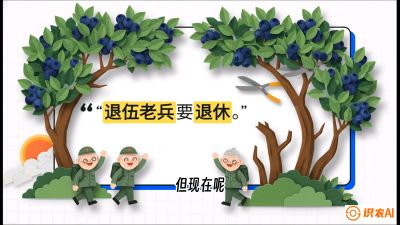 第7节：修剪决定产量（下）&mdash;&mdash;结果树的更新与疏果，课程：《蓝莓&ldquo;高产&rdquo;实战课：从选苗到丰收的10个关键点》