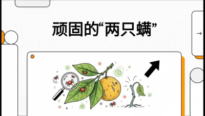 第二节：顽固&ldquo;两只满&rdquo;&mdash;&mdash;红蜘蛛与锈壁虱,课程：《柑橘十大病虫害：从入门到精通》