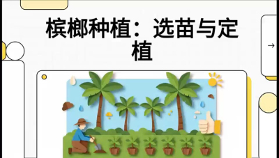 第01节：选苗与定植&mdash;&mdash;&ldquo;苗好一半收，底肥定千秋&rdquo;课程：《槟榔种植：从不懂到精通的10堂必修课》