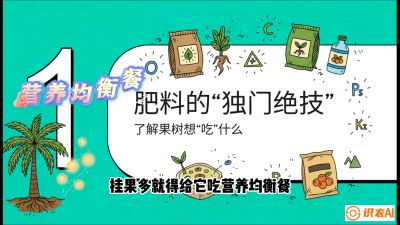 第07节：科学施肥&mdash;&mdash;&ldquo;氮磷钾配好，树壮果不倒
