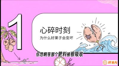 第08节：微量元素与保果&mdash;&mdash;&ldquo;补硼又补钙，果子不裂坏&rdquo;《槟榔种植：从不懂到精通的10堂必修课》