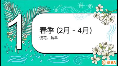 第10节：周年农事日历&mdash;&mdash;&ldquo;跟着节气走，丰产在手头&rdquo;《槟榔种植：从不懂到精通的10堂必修课》