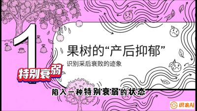 第2节：【冬肥策略】采后&ldquo;月子肥&rdquo;：大小年的精准干预术，课程：《柑橘底肥&ldquo;翻身账&rdquo;：从改土到高产的实战全书》