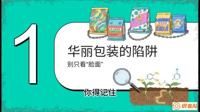 第4节：【黄金配方】底肥里的&ldquo;铁三角&rdquo;与&ldquo;微量雷区&rdquo;课程：《柑橘底肥&ldquo;翻身账&rdquo;：从改土到高产的实战全书》