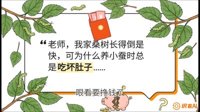 第01节：不仅仅是树&mdash;&mdash;顶级品种选配策略，课程：《桑海淘金：桑树高产与蚕桑安全进阶实战课》
