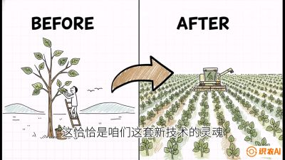 第02节：把树变成草&mdash;&mdash;&ldquo;草本化密植&rdquo;技术，课程：《桑海淘金：桑树高产与蚕桑安全进阶实战课》