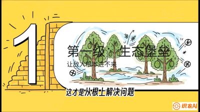 第七节：榴莲防御战：病虫害三级立体防控，疫霉菌与虫害的立体封锁线，课程：《国产榴莲突围战：从泰国经验到中国实操的8堂必修课（高阶实战版）》