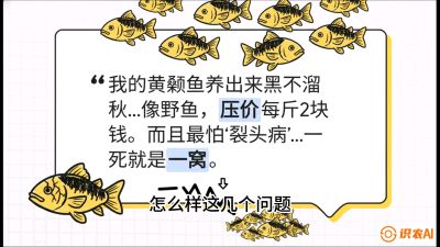 第四节：【黄金单品&middot;黄颡鱼】解决&ldquo;一点红&rdquo;与&ldquo;香蕉色&rdquo;的悖论，课程：《黄金鳞甲：2025中国淡水鱼高效养殖实战营》