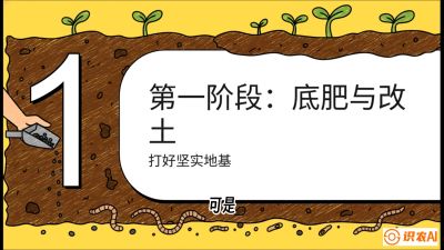 第6节（统筹篇）： 省钱又增产的&ldquo;黄金配比&rdquo;&mdash;&mdash;不同作物全年的养土实操方案，课程：《揭秘土壤的秘密：让土地帮你赚钱》#识农AI
