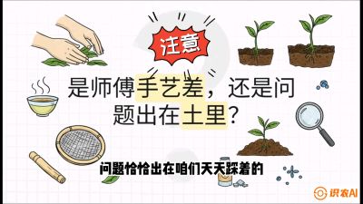 第02节（土肥篇）：告别&ldquo;苦涩水味&rdquo;：揭秘&ldquo;碳氮比&rdquo;调控术，种出自带兰花香的好茶底，课程：《茶金时代：从&ldquo;看天吃饭&rdquo;到&ldquo;精准控局&rdquo;的茶叶高产提质实战课》