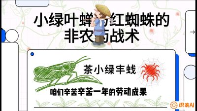 第03节（虫害篇）：看不见的吸血鬼：小绿叶蝉与红蜘蛛的&ldquo;非农药&rdquo;团灭战术（抗性治理），课程：《茶金时代：从&ldquo;看天吃饭&rdquo;到&ldquo;精准控局&rdquo;的茶叶高产提质实战课》