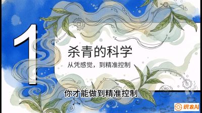 第05节（加工篇）：决胜2分钟：用&ldquo;数字温控&rdquo;破解杀青不匀，复刻大师级手工口感，课程：《茶金时代：从&ldquo;看天吃饭&rdquo;到&ldquo;精准控局&rdquo;的茶叶高产提质实战课》