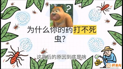 第4节：【虫害歼灭战】打不死的蓟马、隐形的茶黄螨：抗性时代的&ldquo;混配绝杀&rdquo;，课程：《辣椒种植实战特训营，从工业辣椒到精品小米辣，教你如何把&ldquo;草&rdquo;种成&ldquo;金&rdquo;》