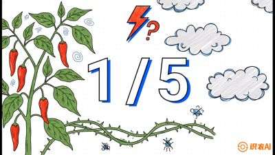 第6节：【花果爆发术】落花落果的五大元凶，与&ldquo;三喷一保&rdquo;坐果黑科技，课程：《辣椒种植实战特训营，从工业辣椒到精品小米辣，教你如何把&ldquo;草&rdquo;种成&ldquo;金&rdquo;》