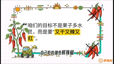 第7节：【工业辣椒专场】追求极致辣度！干物质提升与机械化采收的&ldquo;催红秘籍&rdquo;，课程：《辣椒种植实战特训营，从工业辣椒到精品小米辣，教你如何把&ldquo;草&rdquo;种成&ldquo;金&rdquo;》