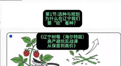 第一节： 选种与规划&mdash;&mdash;为什么在辽宁我们要&ldquo;砍&rdquo;着种？，课程：《辽宁树莓（海尔特兹）高产避坑实战课：从保苗到高价》