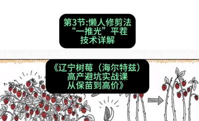第三节： 懒人修剪法&mdash;&mdash;&ldquo;一推光&rdquo;平茬技术详解，课程：《辽宁树莓（海尔特兹）高产避坑实战课：从保苗到高价》