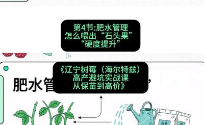 第四节： 肥水管理&mdash;&mdash;怎么喂出&ldquo;石头果&rdquo;（硬度提升），课程：《辽宁树莓（海尔特兹）高产避坑实战课：从保苗到高价》