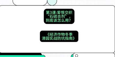 第3节：【核武药剂】爱恨交织的&ldquo;石硫合剂&rdquo;，到底该怎么用？，课程：《经济作物冬季清园&middot;实战防坑指南》#识农AI