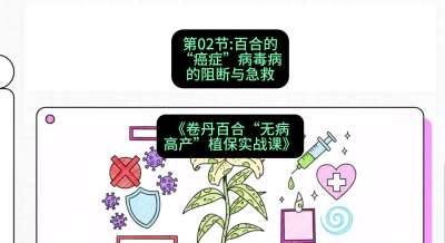 第02节：百合的&ldquo;癌症&rdquo;&mdash;&mdash;病毒病的阻断与急救，课程：《卷丹百合&ldquo;无病高产&rdquo;植保实战课》#识农AI