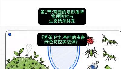 第01节：茶园的&ldquo;隐形盾牌&rdquo;&mdash;&mdash;物理防控与生态诱杀体系，课程：《茗茶卫士&mdash;&mdash;茶叶病虫害绿色防控实战课》#识农AI