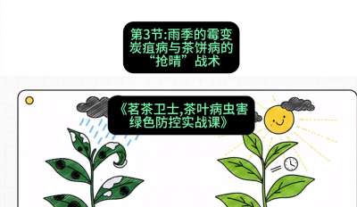 第03节：雨季的霉变&mdash;&mdash;炭疽病与茶饼病的&ldquo;抢晴&rdquo;战术，课程：《茗茶卫士&mdash;&mdash;茶叶病虫害绿色防控实战课》#识农AI