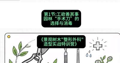 第01节：工欲善其事&mdash;&mdash;园林&ldquo;手术刀&rdquo;的选择与消毒，课程：《景观树木&ldquo;整形外科&rdquo;造型实战特训营》#识农AI