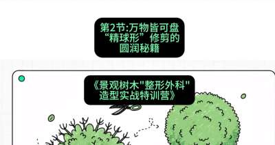 第02节：万物皆可盘&mdash;&mdash;&ldquo;精球形&rdquo;修剪的圆润秘籍，课程：《景观树木&ldquo;整形外科&rdquo;造型实战特训营》#识农AI