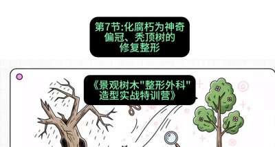 第07节：化腐朽为神奇&mdash;&mdash;偏冠、秃顶树的修复整形，课程：《景观树木&ldquo;整形外科&rdquo;造型实战特训营》#识农AI
