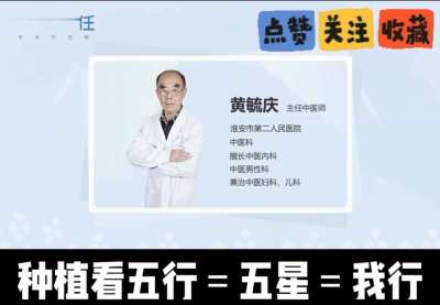 中药材淫羊藿怎么种？听专家一次讲明白！不挑地块好管理，耐寒耐旱省心省力，新手也能轻松上手，药用价值高、市场需求稳，妥妥的增收好品种～ 从生长习性到采收要点，干货满满无废话，种植疑问直接问，一对一答疑解