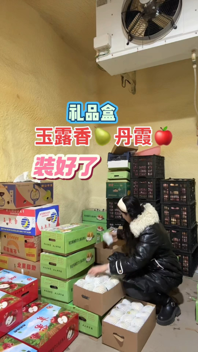 玉露香梨，丹霞苹果礼品盒