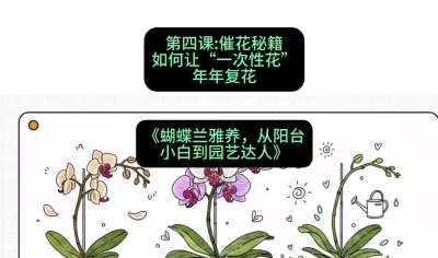 第四节：催花秘籍：如何让&ldquo;一次性花&rdquo;年年复花，课程：《蝴蝶兰雅养六讲：从阳台小白到园艺达人》#识农AI
