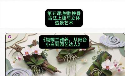 第五节：脱胎换骨：古法上板与立体造景艺术，课程：《蝴蝶兰雅养六讲：从阳台小白到园艺达人》#识农AI